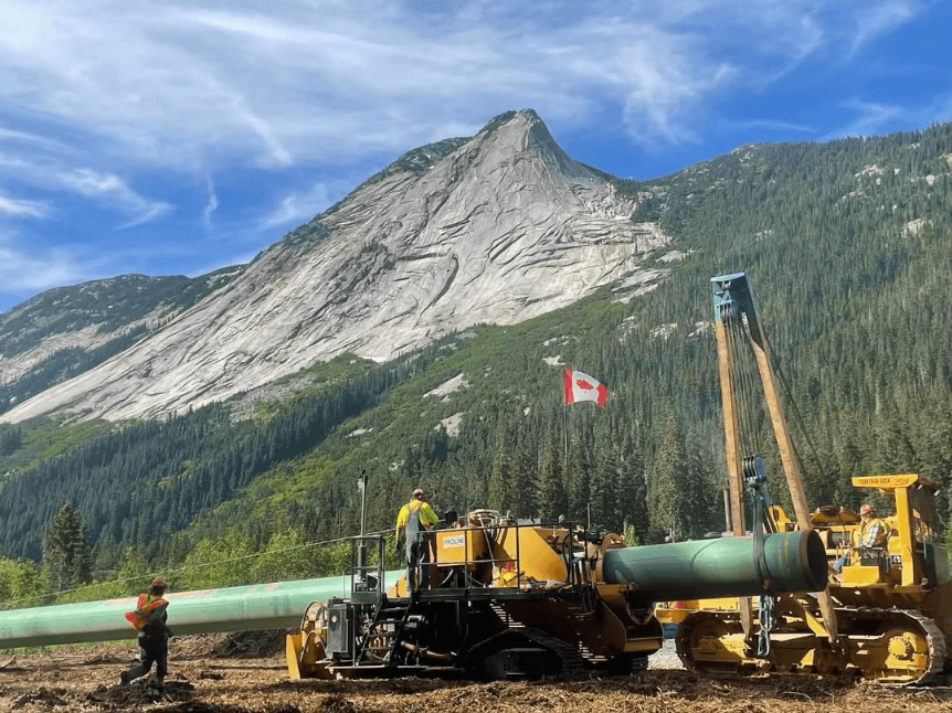 Proline On-Site Service